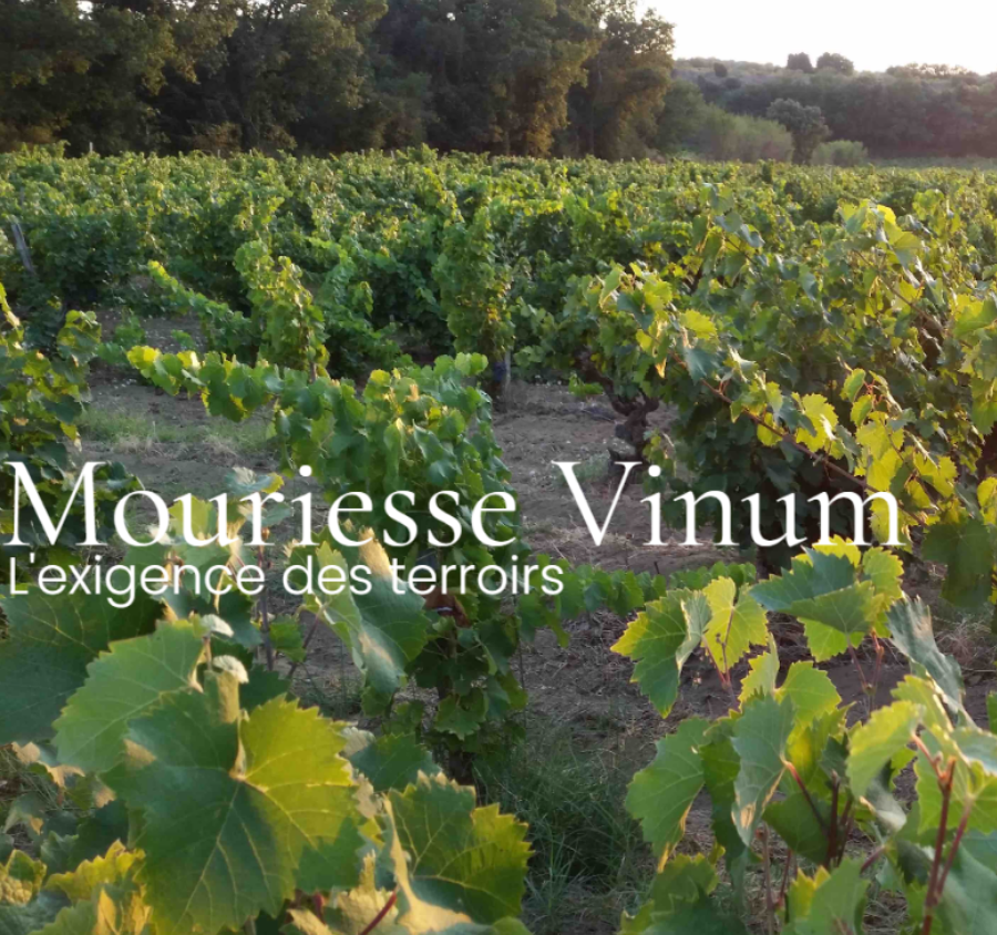 Mouriesse Vinum - Châteauneuf-du-Pape