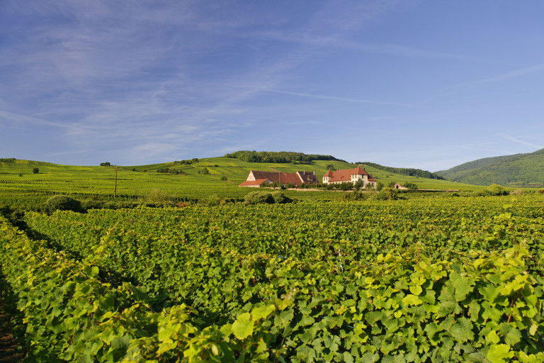 bouxhof-maison.jpg