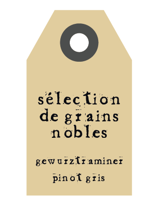 mayer-photo-grains-nobles.png